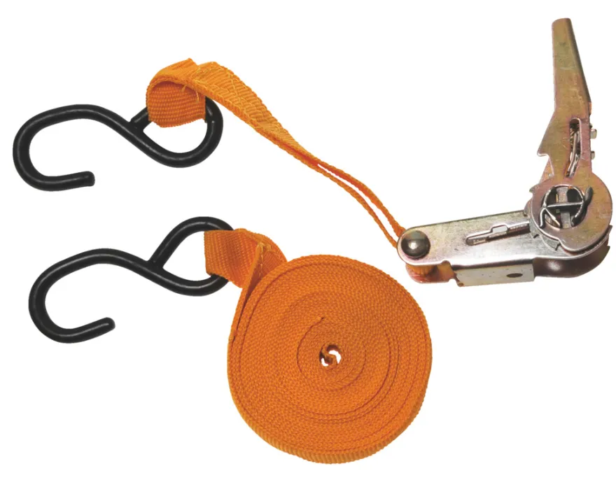 Bagagestrop 25 mm x 5 meter - 250 kg