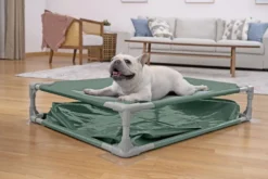 Bestway Fetchin' Fun legepool og seng