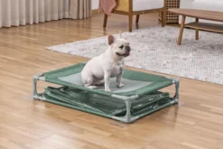 Bestway Fetchin' Fun legepool og seng