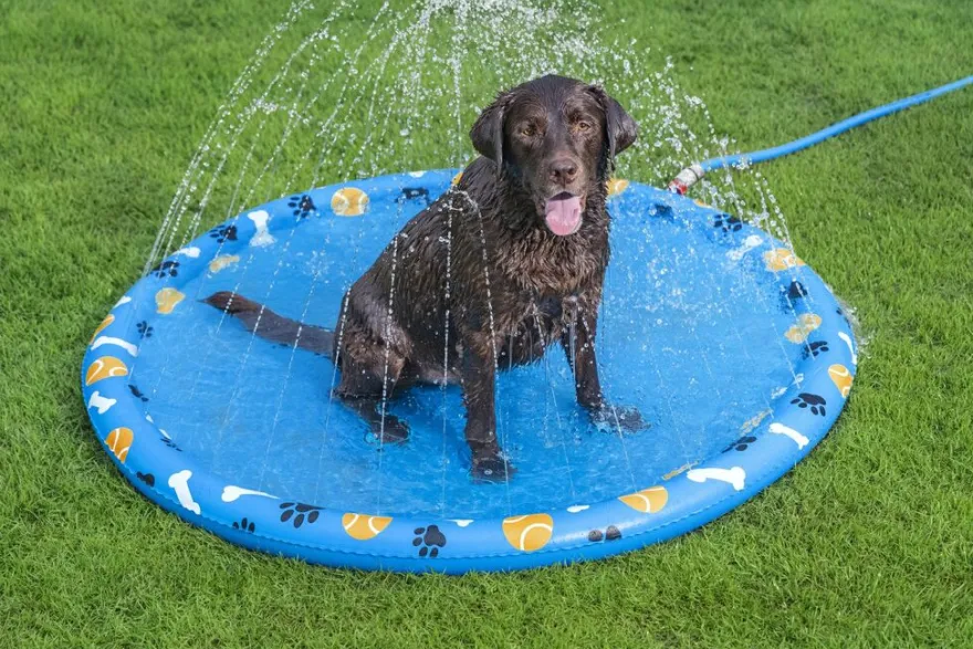 Bestway Fetchin' Fun plaskedug