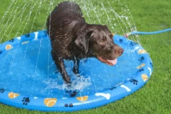 Bestway Fetchin' Fun plaskedug