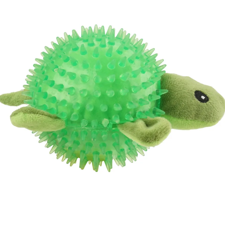 Bidebold skildpadde - PetZone