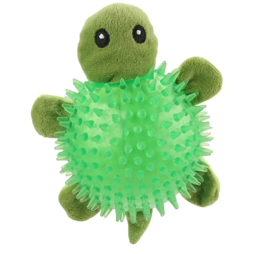 Bidebold skildpadde - PetZone
