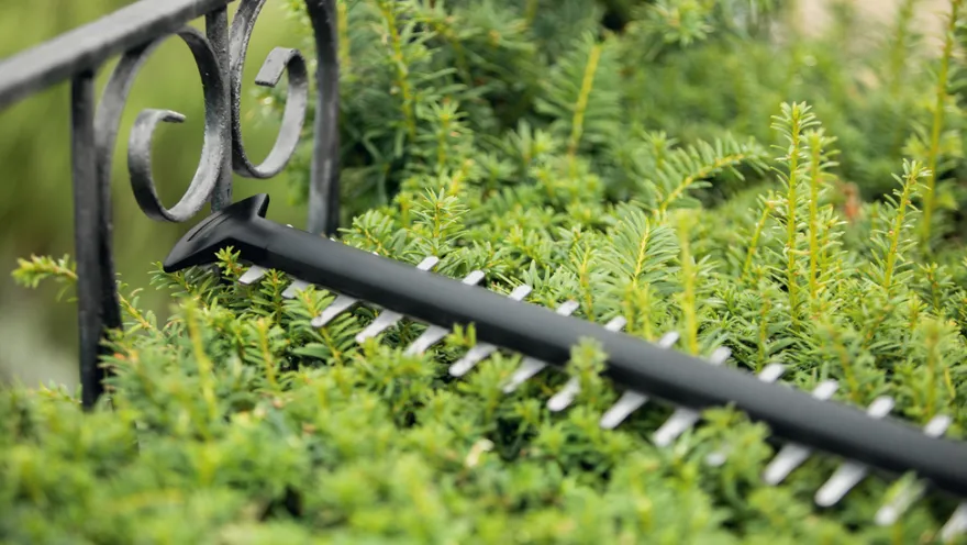 Bosch UniversalHedgeCut 18-50 hækkeklipper akku