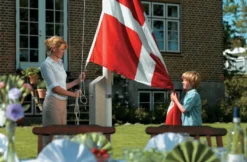 Dano Mast flagstang 6 meter