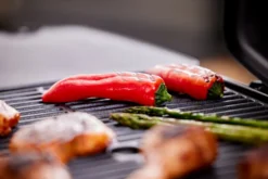 Elgrill 2200 W 101 x 47 x 34,8 cm - Grillexpert®