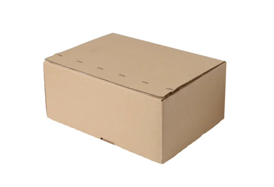Forsendelseskasse 34,4 x 25 x 14,2 cm