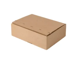 Forsendelseskasse 31 x 23 x 9 cm