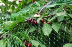 Fuglenet 8 x 8 meter - Garden®