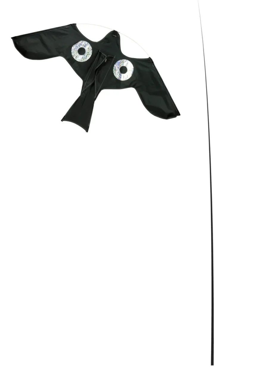 Fugleskræmmer drage