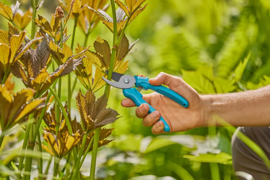 GARDENA beskæresaks EasyCut