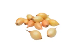 Grønne Fingre® stikløg gule løg Sturon 250 g
