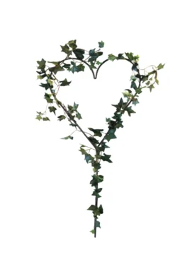 Hjerteformet espalier 39 x 79 cm