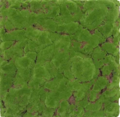 Jangal Modular Wall mospanel 52 x 52 cm - Forrest Green Bulk