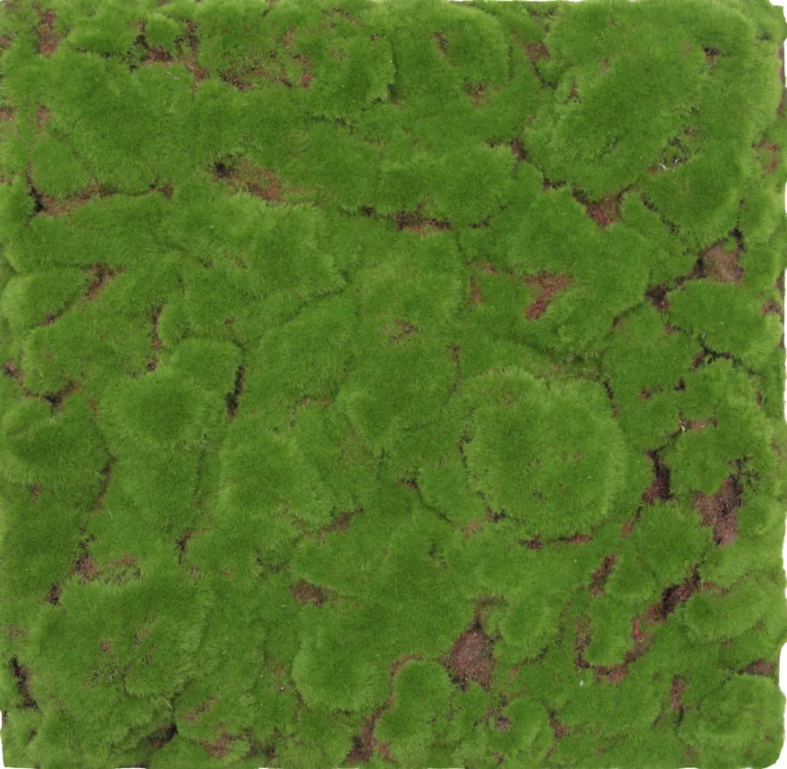 Jangal Modular Wall mospanel 52 x 52 cm - Forrest Green Bulk