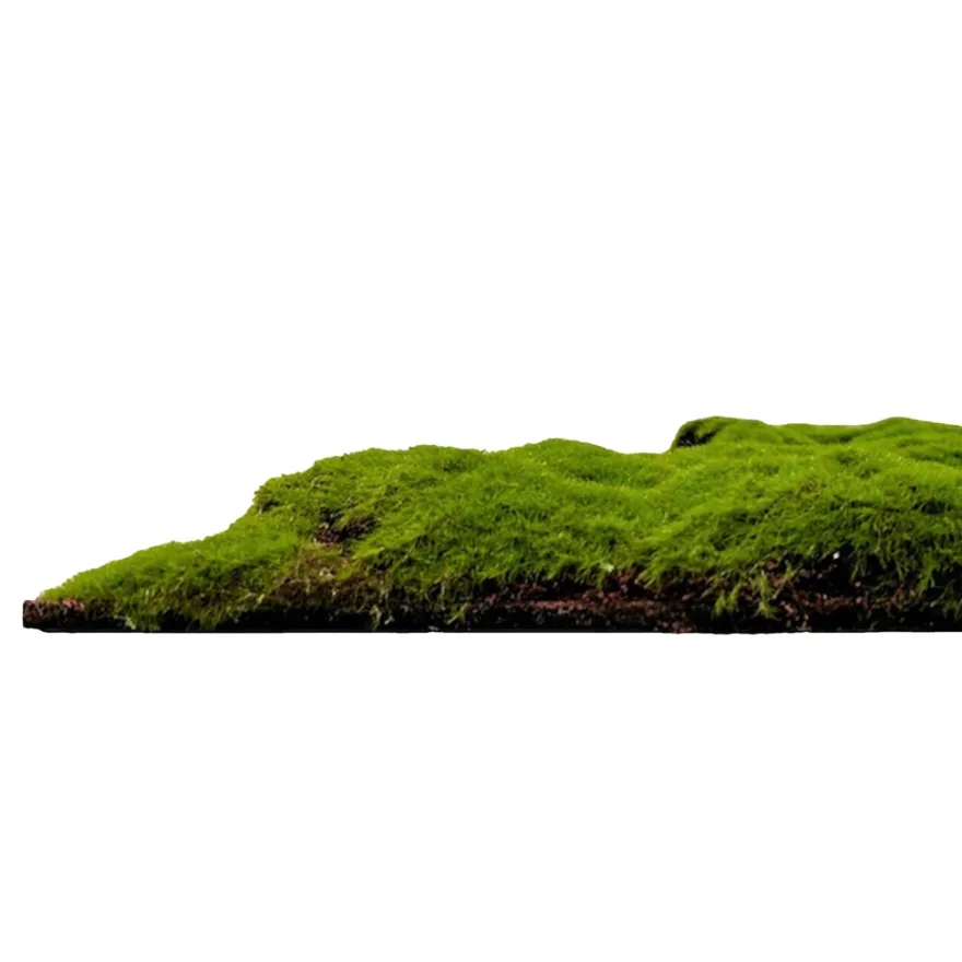 Jangal Modular Wall mospanel 52 x 52 cm - Forrest Green Bulk