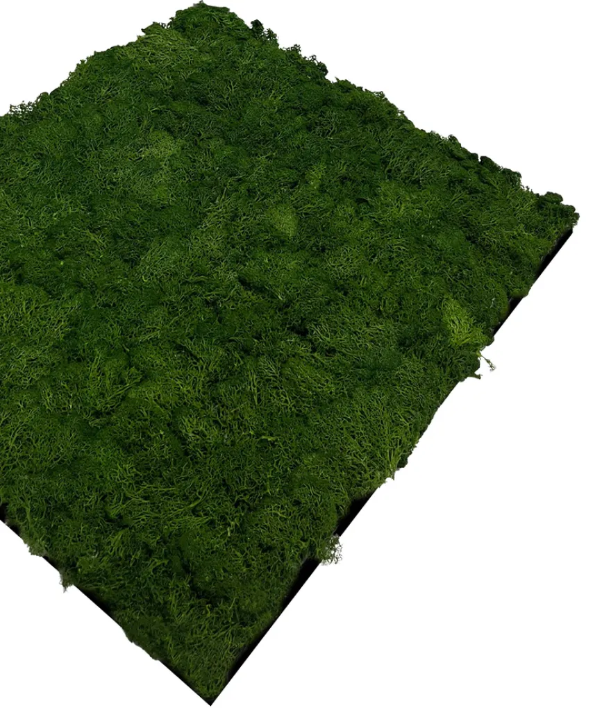 Jangal Modular Wall mospanel 52 x 52 cm - Dark Green