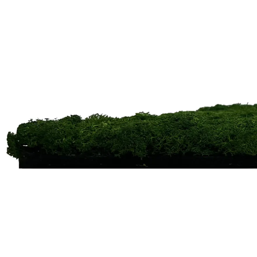 Jangal Modular Wall mospanel 52 x 52 cm - Dark Green