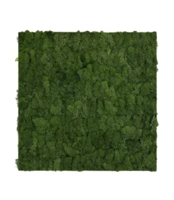 Jangal Modular Wall mospanel 52 x 52 cm - Dark Green