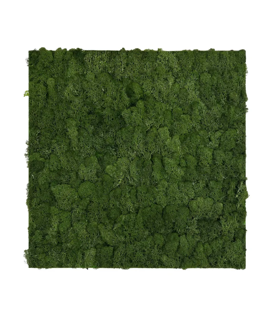 Jangal Modular Wall mospanel 52 x 52 cm - Dark Green