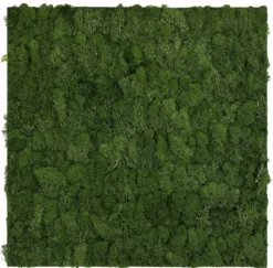 Jangal Modular Wall mospanel 52 x 52 cm - Dark Green