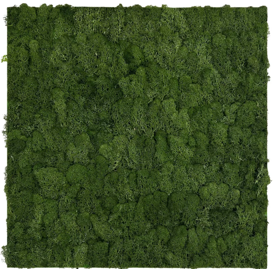 Jangal Modular Wall mospanel 52 x 52 cm - Dark Green