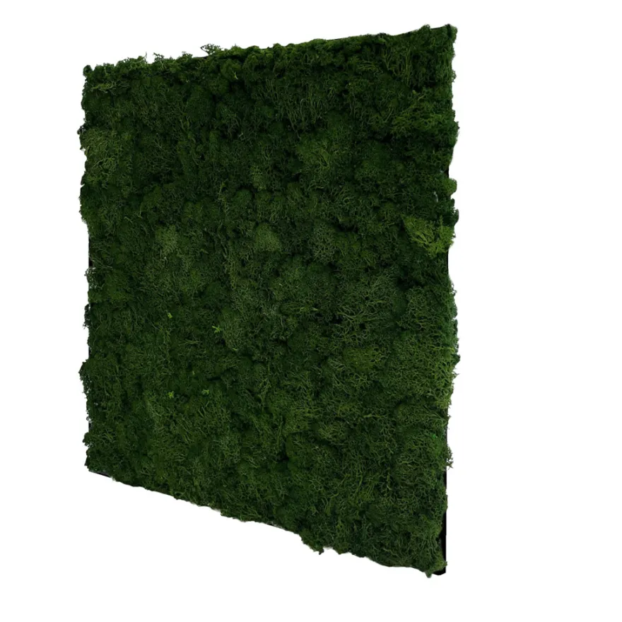 Jangal Modular Wall mospanel 52 x 52 cm - Dark Green