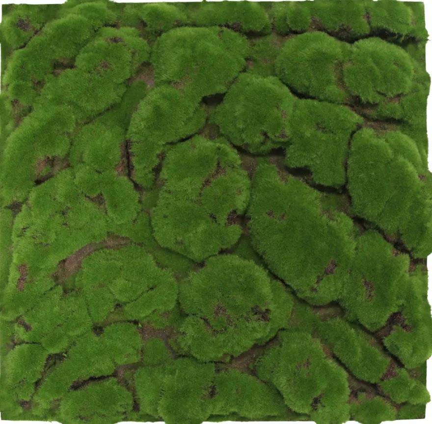 Jangal Modular Wall mospanel 52 x 52 cm - Dark Green Bulk