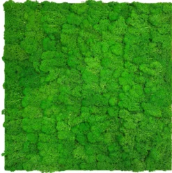 Jangal Modular Wall mospanel 52 x 52 cm - Rich Green