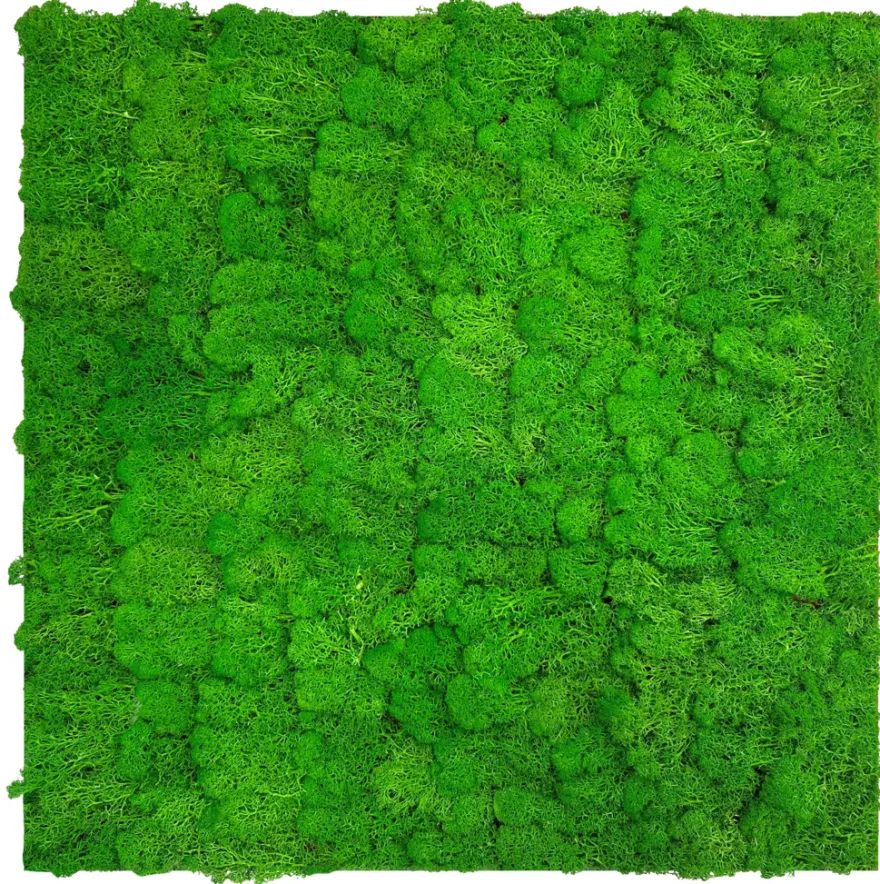 Jangal Modular Wall mospanel 52 x 52 cm - Rich Green