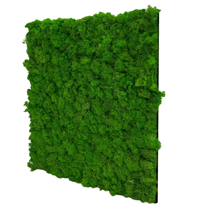 Jangal Modular Wall mospanel 52 x 52 cm - Rich Green