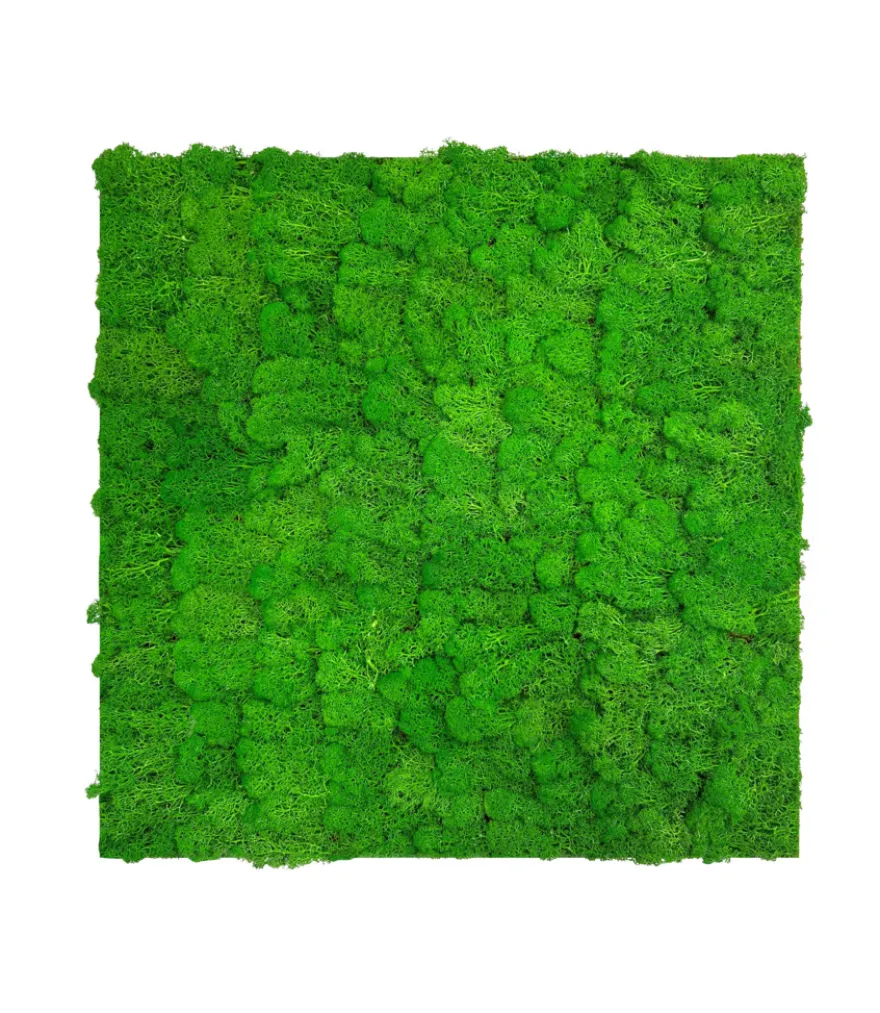 Jangal Modular Wall mospanel 52 x 52 cm - Rich Green