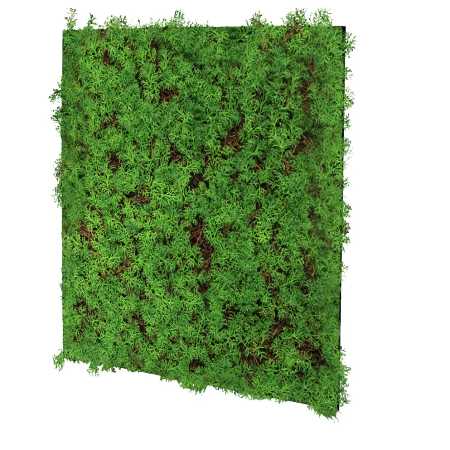 Jangal Modular Wall plantepanel 52 x 52 cm - Thuja