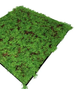 Jangal Modular Wall plantepanel 52 x 52 cm - Thuja