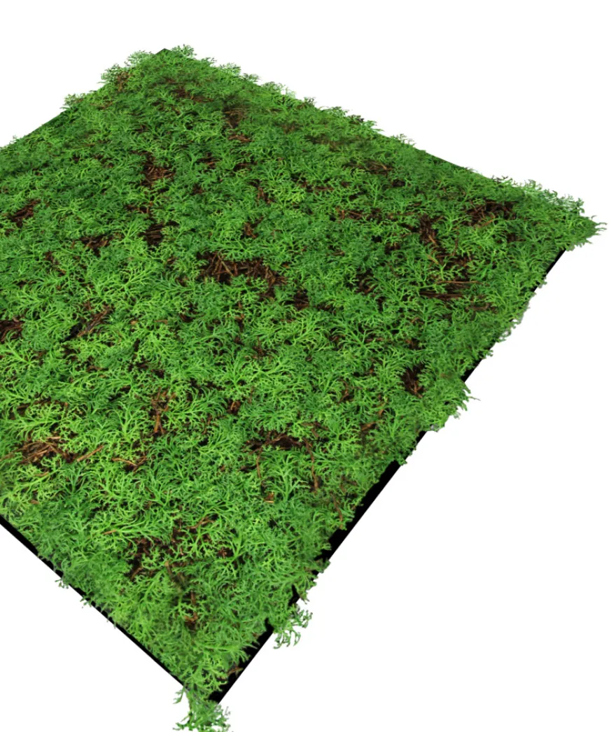 Jangal Modular Wall plantepanel 52 x 52 cm - Thuja