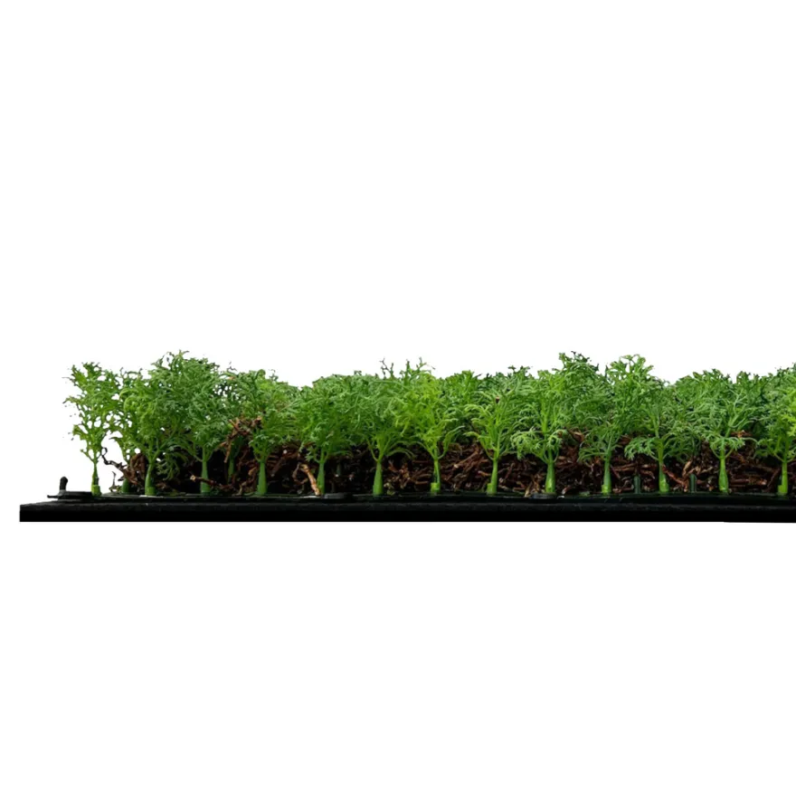 Jangal Modular Wall plantepanel 52 x 52 cm - Thuja