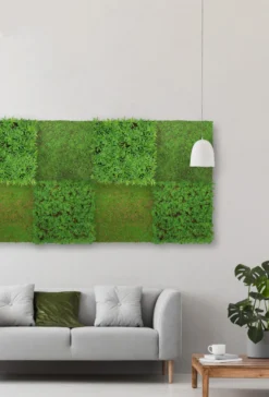 Jangal Modular Wall plantepanel 52 x 52 cm - Podocarpus Tea Tree