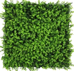 Jangal Modular Wall plantepanel 52 x 52 cm - Buxus