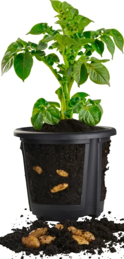 Kartoffelpotte 2-delt Ø29,8 cm