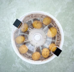 Kartoffelskræller 85 W - DAY