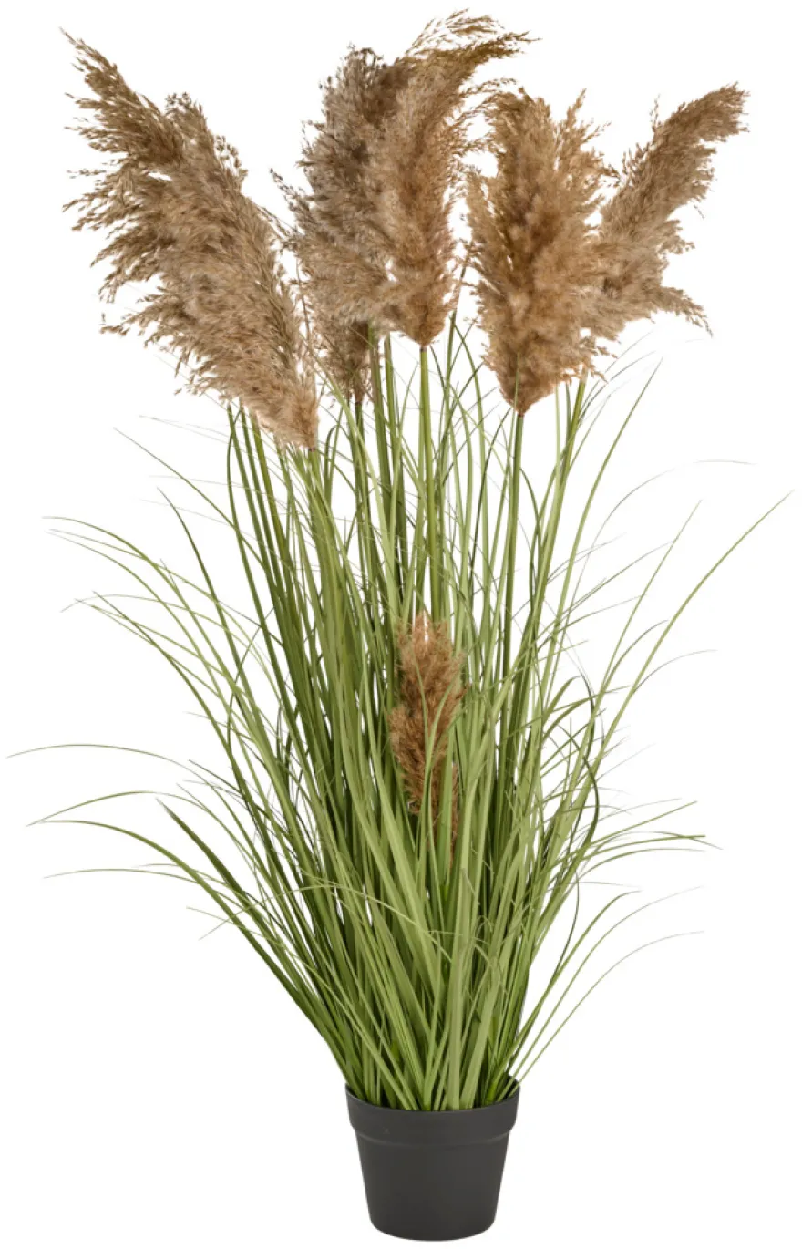 Kunstgræs med ægte pampas 120 cm