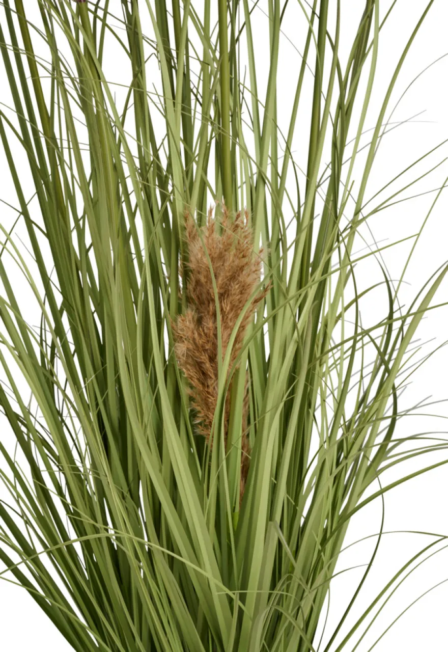 Kunstgræs med ægte pampas 120 cm