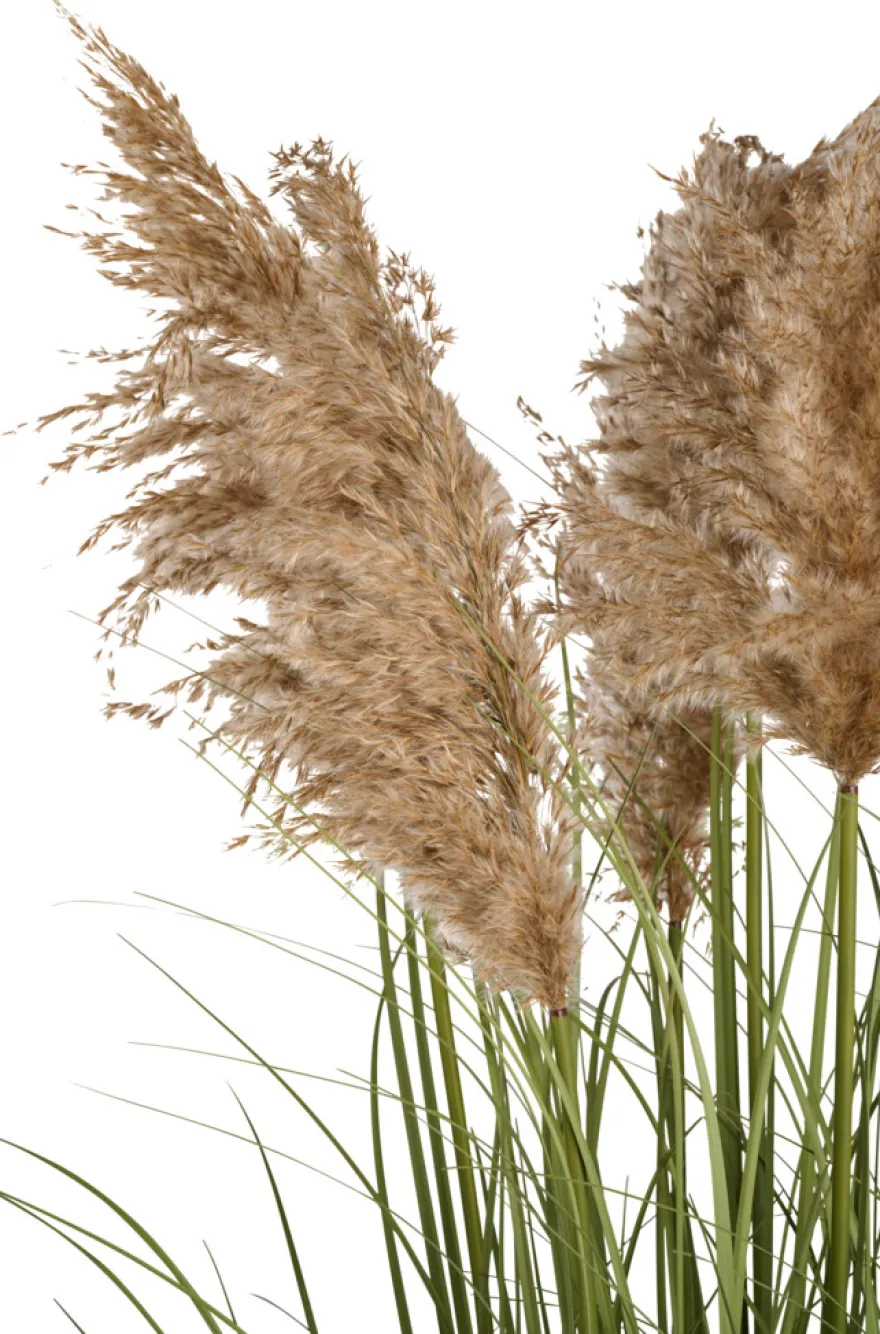 Kunstgræs med ægte pampas 120 cm