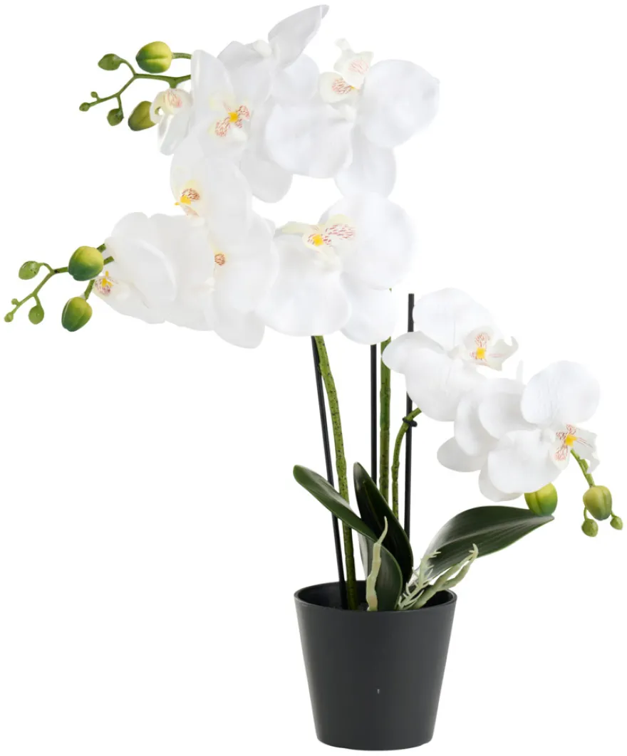 Kunstig orkidé hvid 46 cm