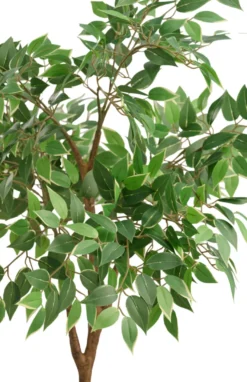 Kunstigt ficus træ H125 cm udendørs - DAY