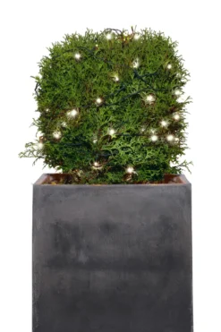 Lyskæde Basis 50 LED 4,9 meter