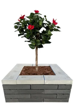 Murblok Nordic Wall koks 60 x 30 x 12 cm