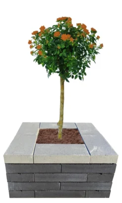 Murblok Nordic Wall koks 60 x 30 x 12 cm