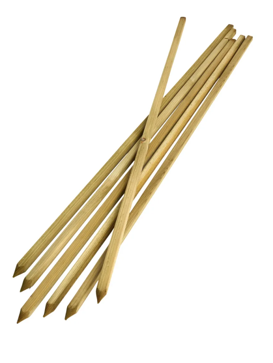 Plantepinde 6 stk. 150 cm