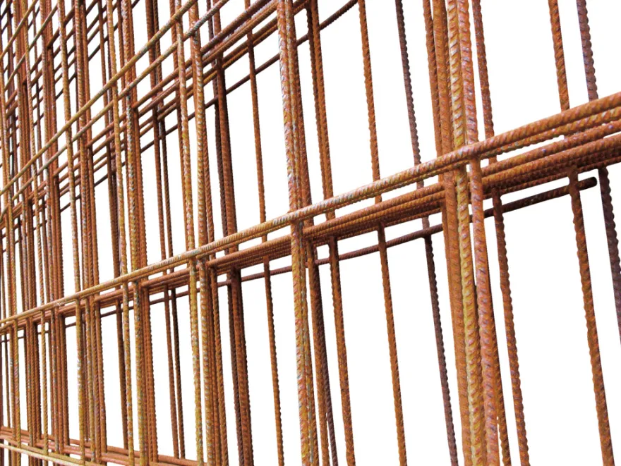 Rionet 5 mm – 1,5 x 2,5 meter